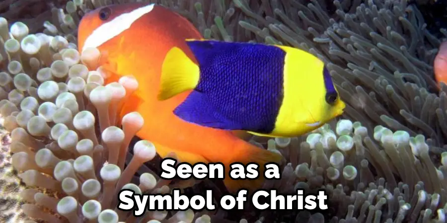 Seen as a Symbol of Christ