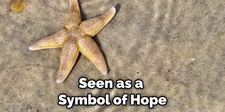 Starfish Totem, Spiritual Meaning, and Symbolism | (2025)