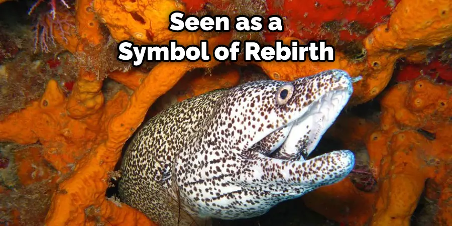  Seen as a  Symbol of Rebirth