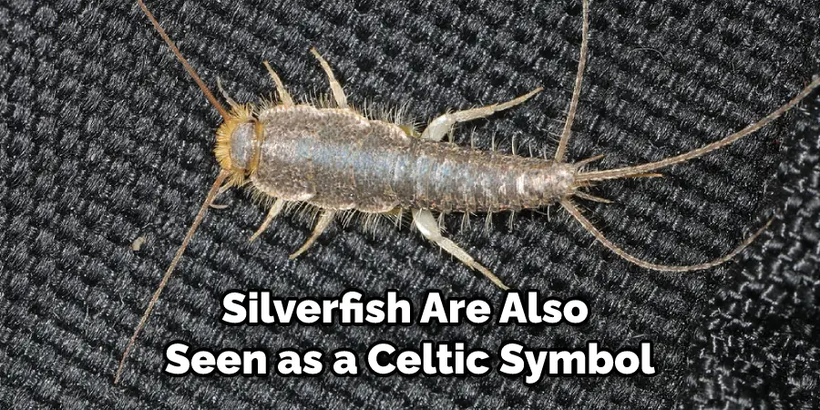 Silverfish Are Also  Seen as a Celtic Symbol