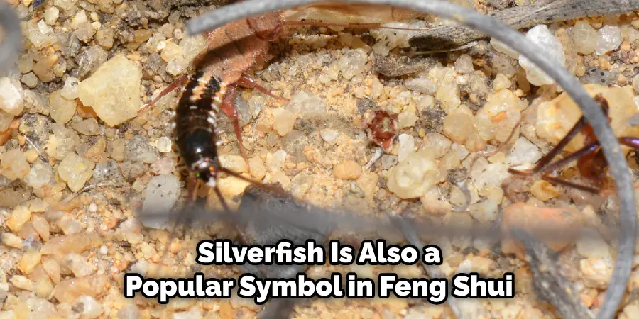 Silverfish Is Also a  Popular Symbol in Feng Shui 