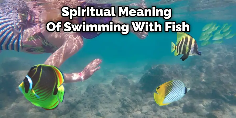 Spiritual Meaning  Of Swimming With Fish