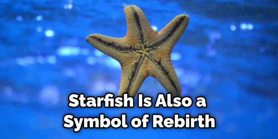 Starfish Is Also a  Symbol of Rebirth