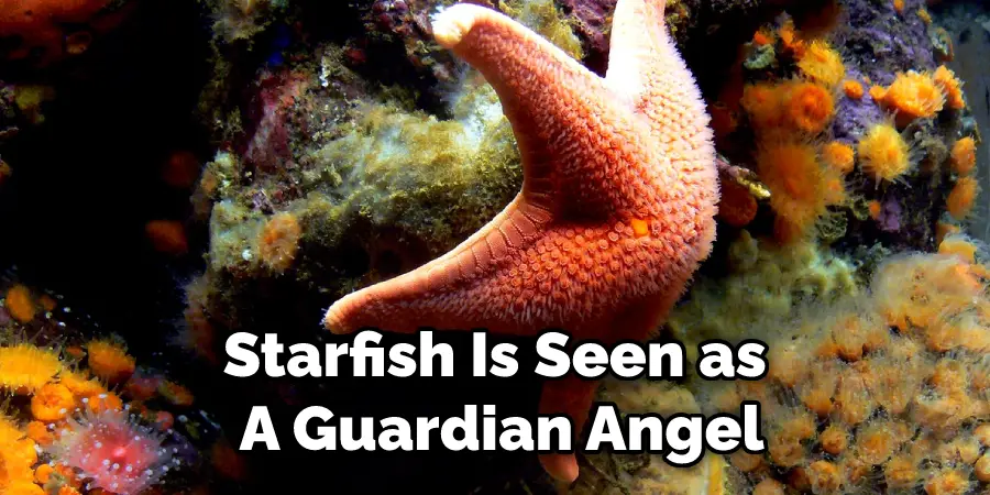 Starfish Is Seen as  A Guardian Angel