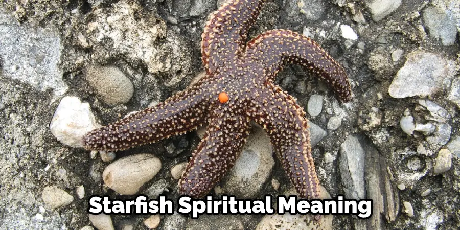Starfish Spiritual Meaning