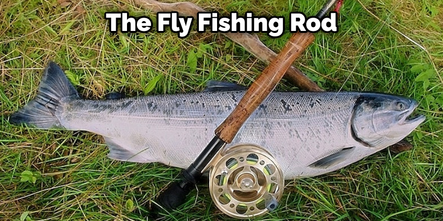 The Fly Fishing Rod