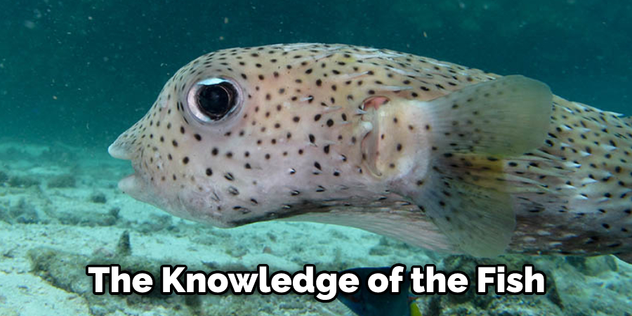 The Knowledge of the Fish