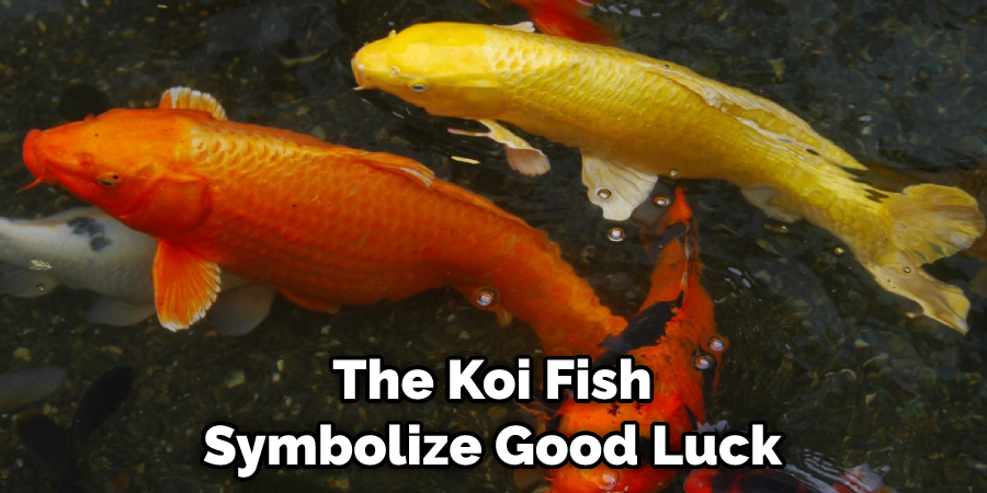 The Koi Fish Symbolize Good Luck