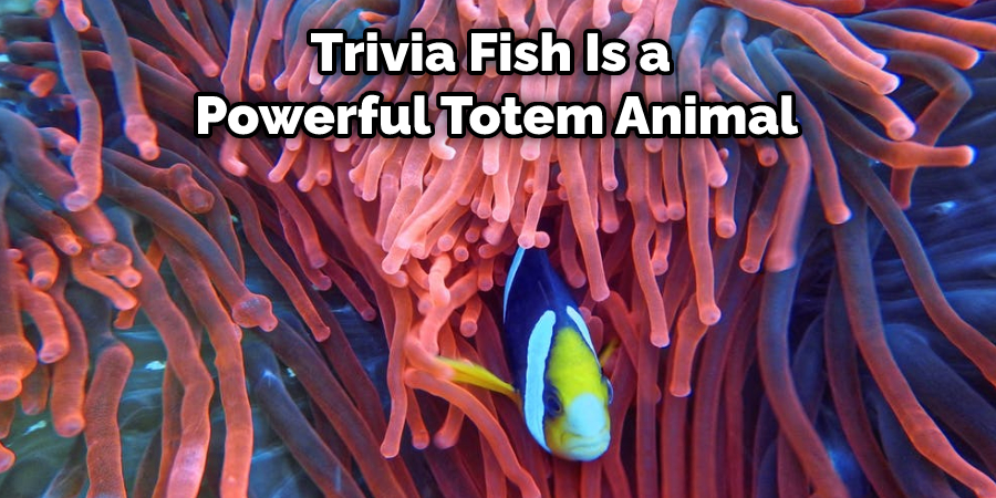 Trivia Fish Is a  Powerful Totem Animal