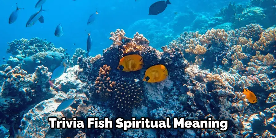 Trivia Fish Spiritual Meaning