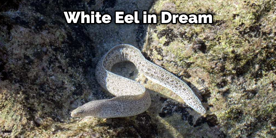 White Eel in Dream