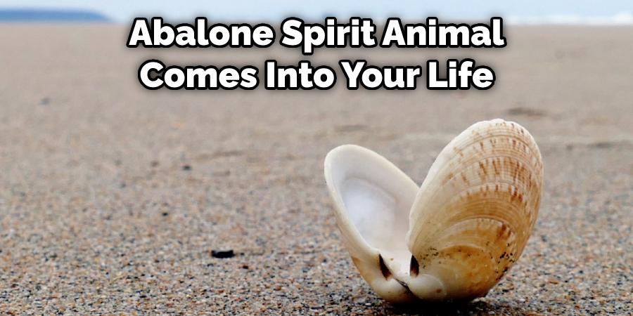 Abalone Spirit Animal Comes Into Your Life