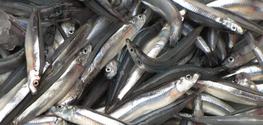 Anchovies Meaning