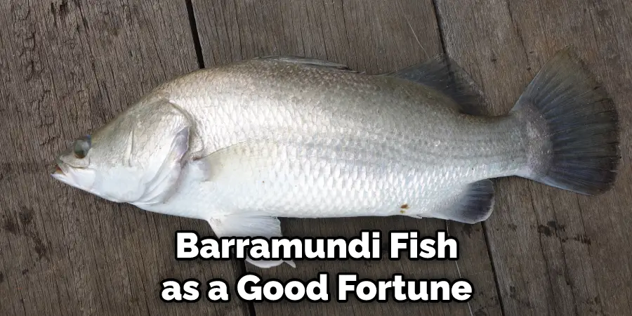 Barramundi Fish as a Good Fortune