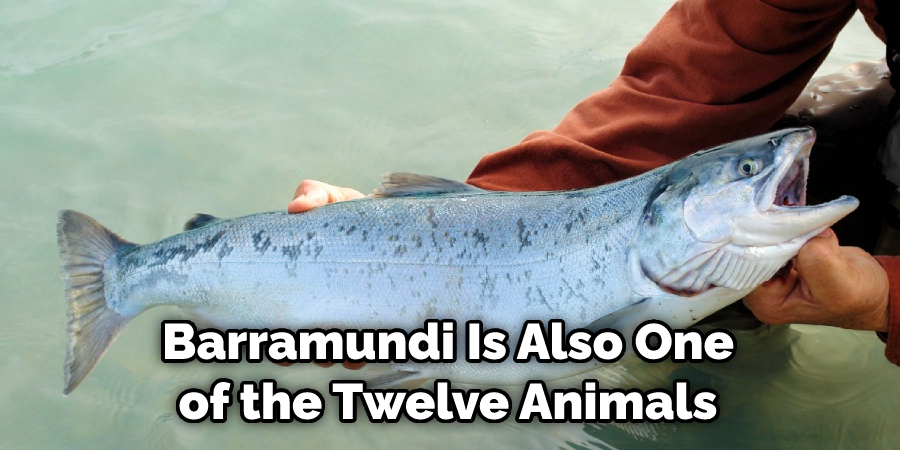 Barramundi Is Also One of the Twelve Animals