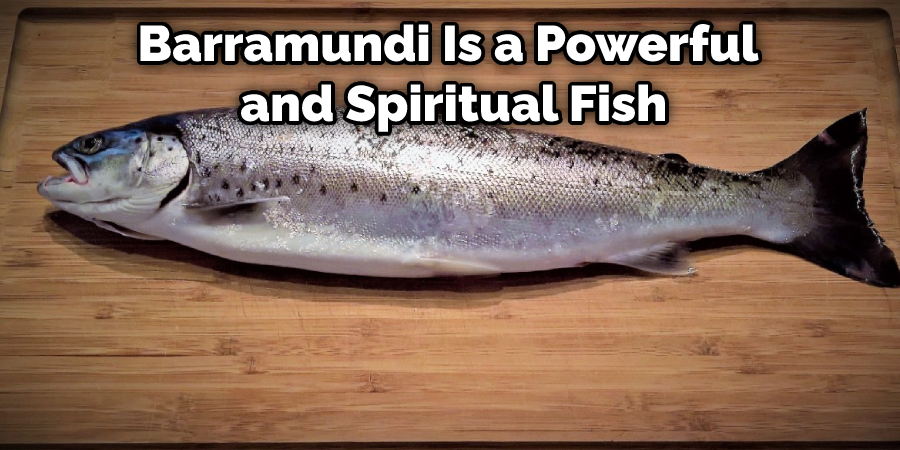 Barramundi Is a Powerful and Spiritual Fish