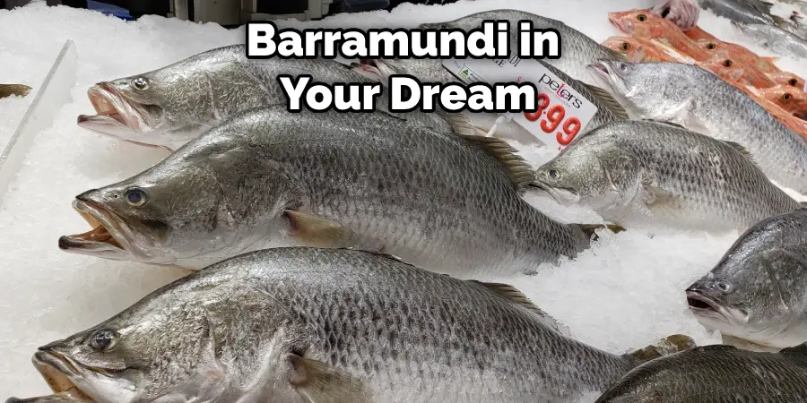 Barramundi in Your Dream