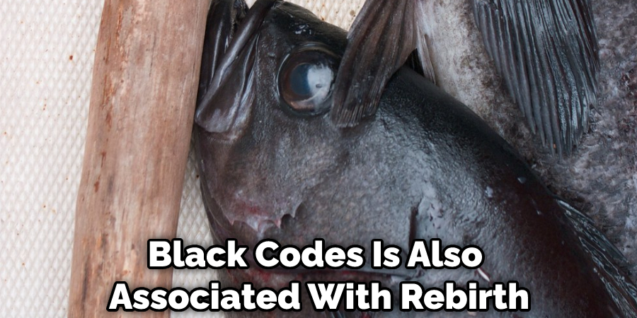 Black Codes Is Also Associated With Rebirth