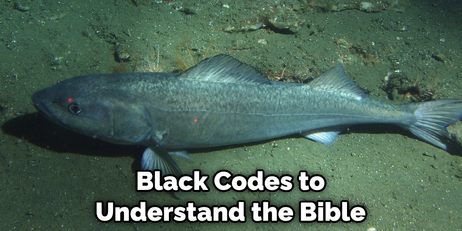 Black Codes to Understand the Bible