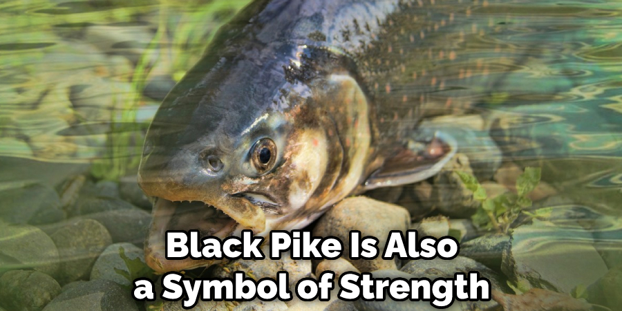 Black Pike Is Also a Symbol of Strength