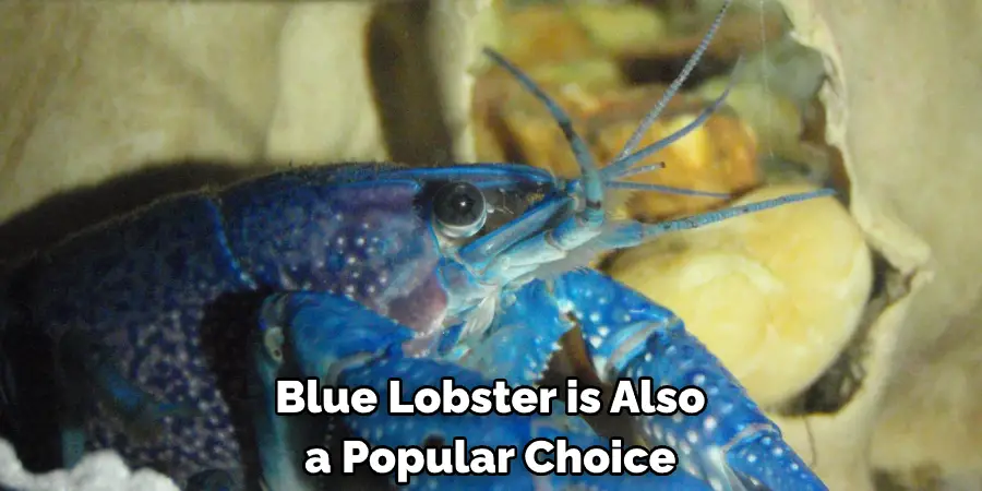 Blue Lobster is Also a Popular Choice