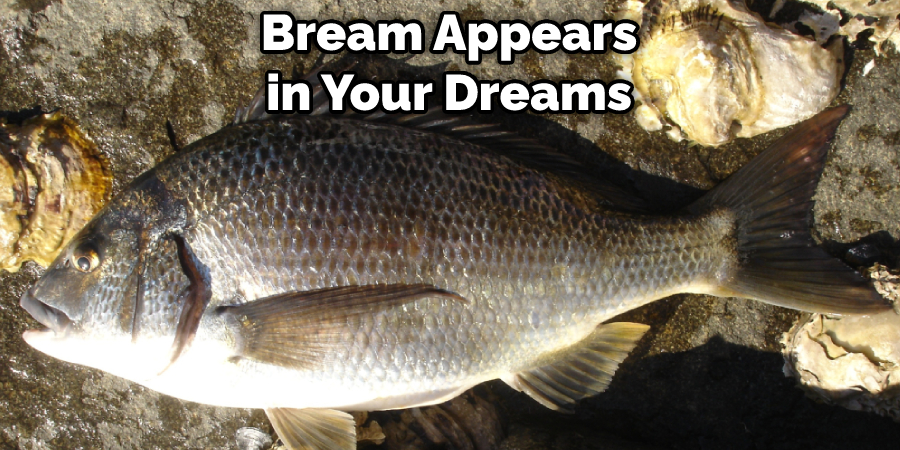 Bream Appears in Your Dreams