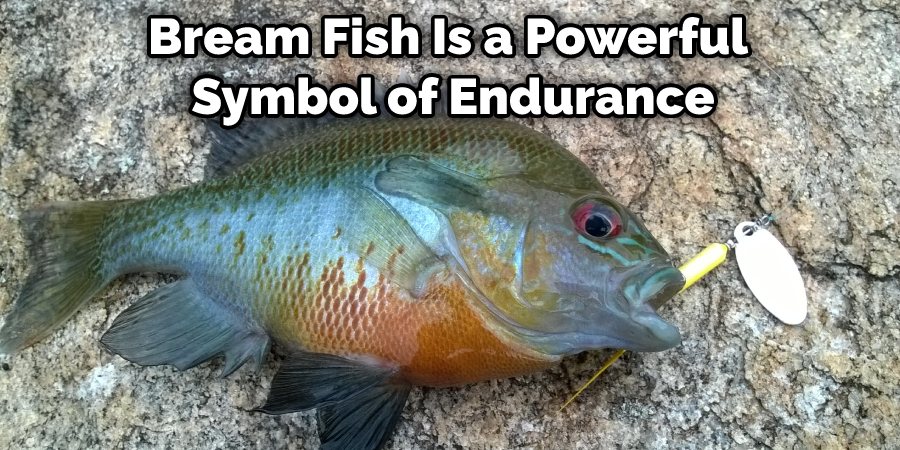 Bream Fish Is a Powerful Symbol of Endurance