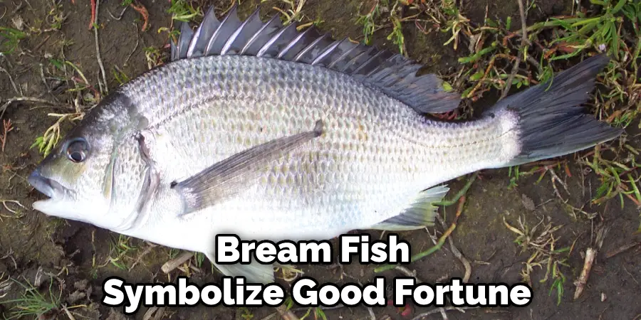 Bream Fish Symbolize Good Fortune
