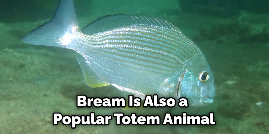 Bream Is Also a Popular Totem Animal