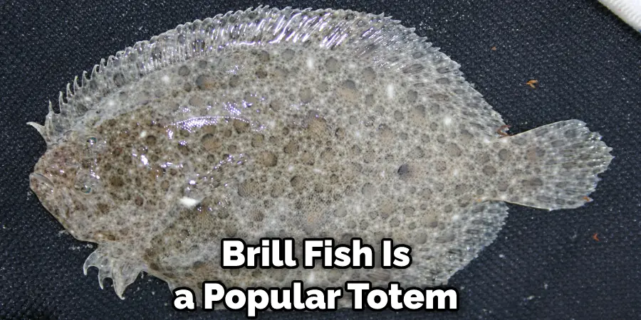 Brill Fish Is  a Popular Totem