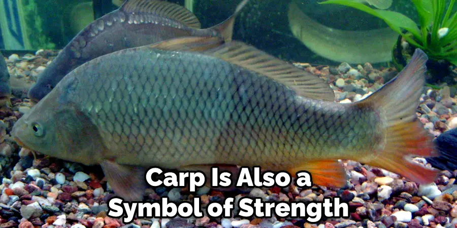 Carp Is Also a Symbol of Strength