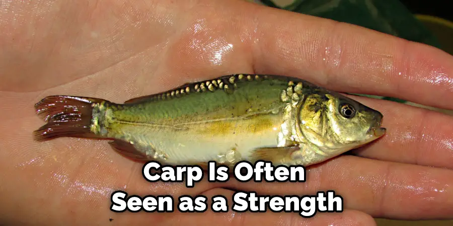 Carp Is Often Seen as a Strength