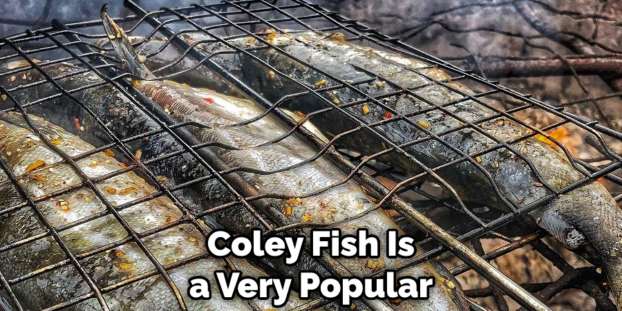 Coley Fish Is a Very Popular