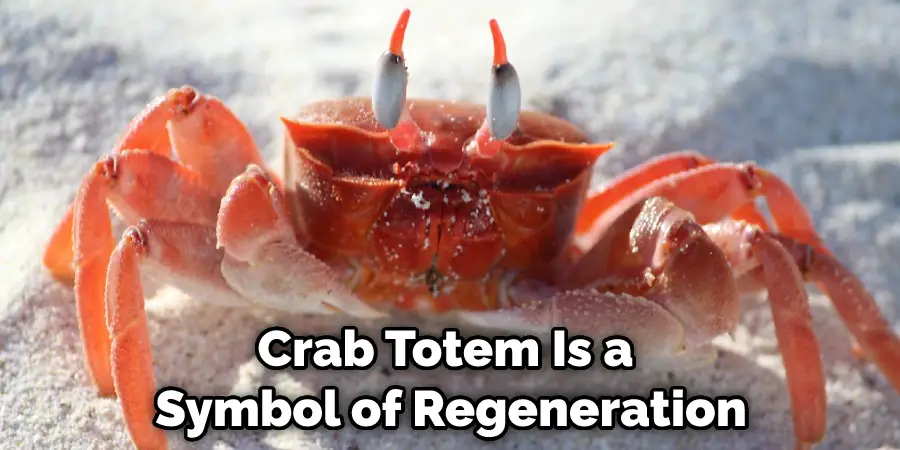 Crab Totem Is a Symbol of Regeneration