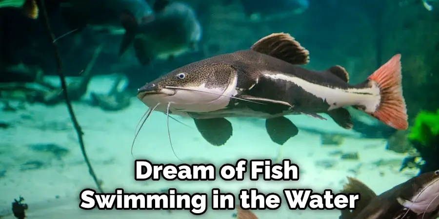 Dream of Fish Swimming in the Water