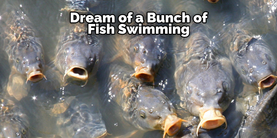 Dream of a Bunch of Fish Swimming