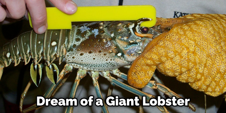 Dream of a Giant Lobster