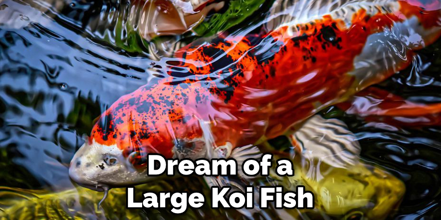 Dream of a Large Koi Fish
