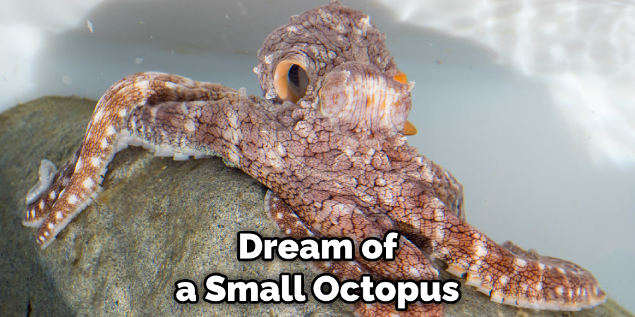 Dream of a Small Octopus