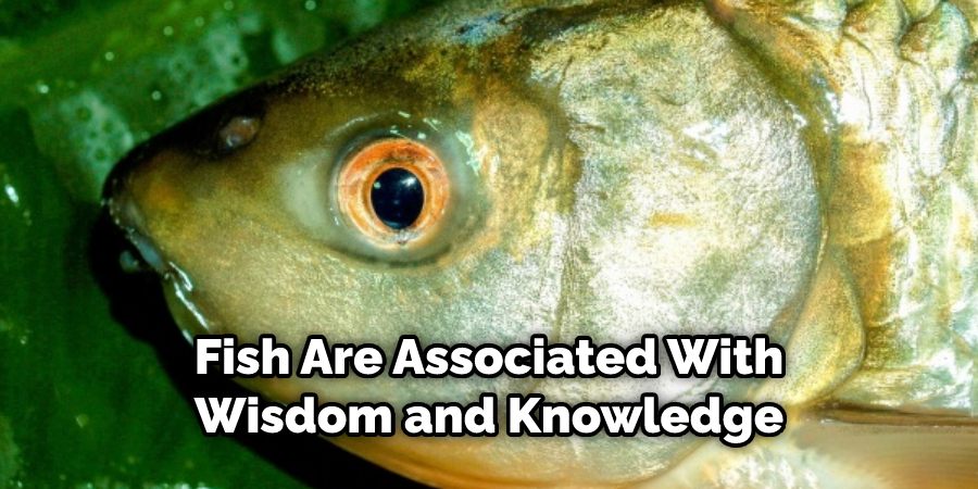 Fish Are Associated With  Wisdom and Knowledge