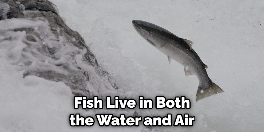 Fish Live in Both the Water and Air