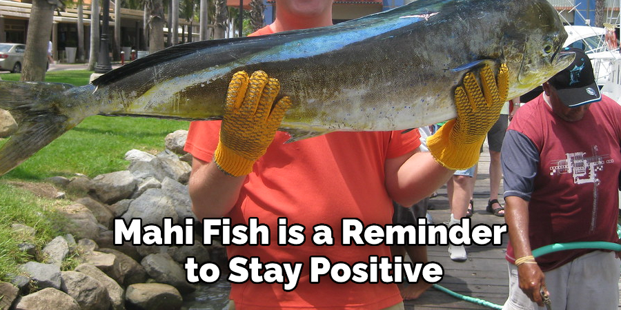 Mahi Fish is a Reminder  to Stay Positive