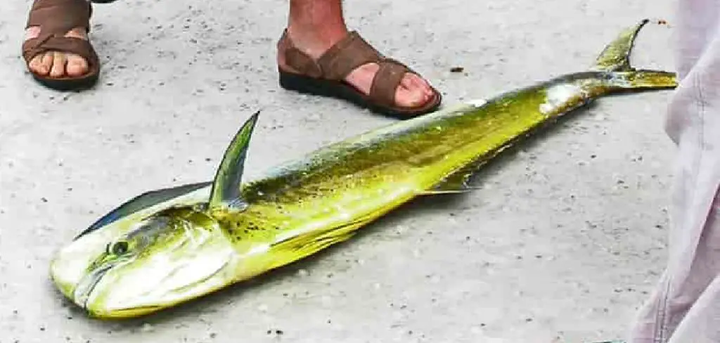 Mahi-Mahi Meaning