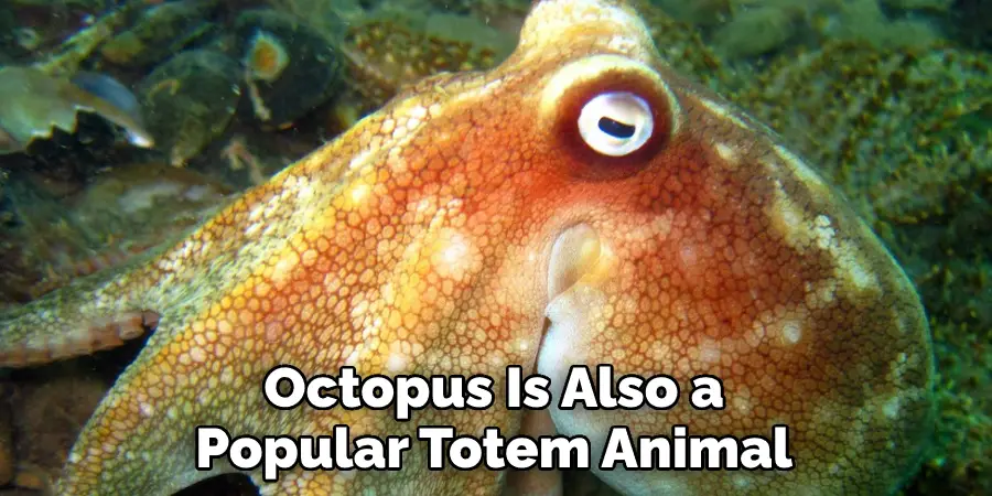 Octopus Is Also a Popular Totem Animal