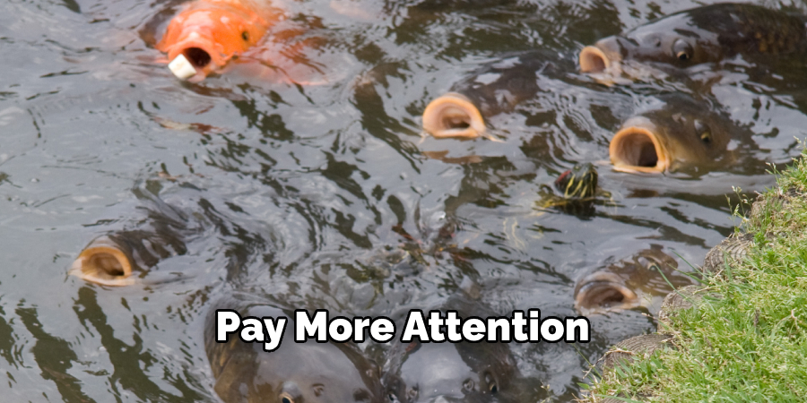 Pay More Attention