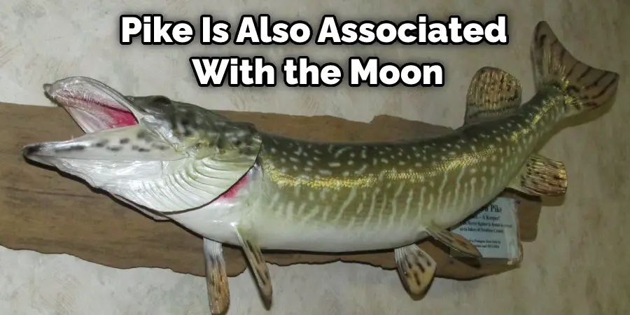 Pike Is Also Associated  With the Moon