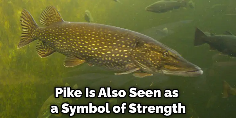Pike Is Also Seen As A Symbol Of Strength 768x384 