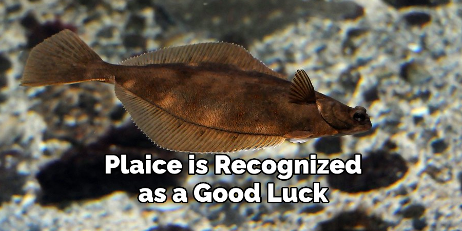Plaice is Recognized as a Good Luck