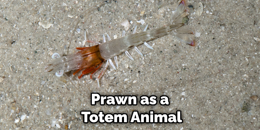 Prawn as a  Totem Animal