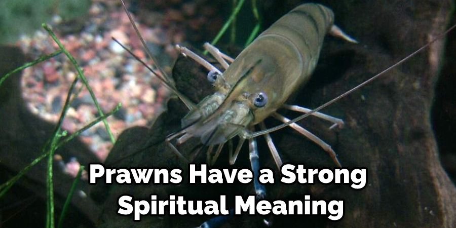 Prawns Have a Strong  Spiritual Meaning